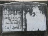image of grave number 916931